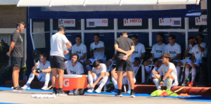 LOS LEONES CONCENTRAR�N EN EUROPA